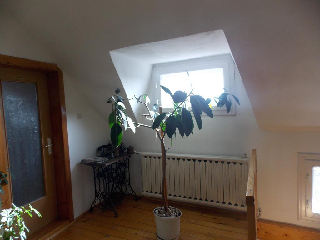 Casa Fortyogo Tîrgu Secuiesc エクステリア 写真